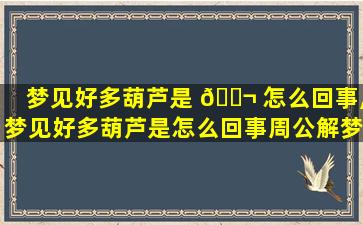 梦见好多葫芦是 🐬 怎么回事,梦见好多葫芦是怎么回事周公解梦